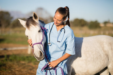 La plupart des chevaux ont une inflammation des voies respiratoires. Et alors ?