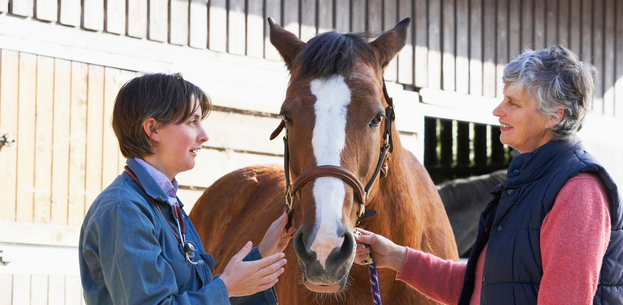 Mon cheval a reçu un diagnostic de IAD, comment Haygain peut-il aider ?