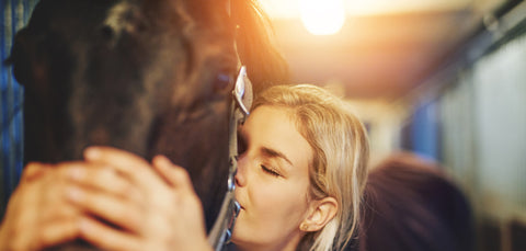 Cinq raisons pour lesquelles votre cheval vous aimera pour passer au foin purifié à la vapeur